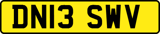 DN13SWV