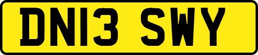 DN13SWY