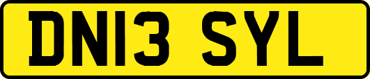 DN13SYL