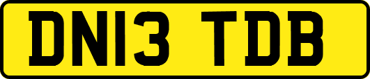 DN13TDB