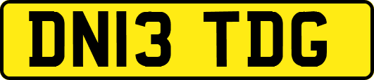 DN13TDG