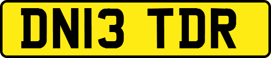 DN13TDR