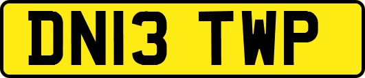 DN13TWP