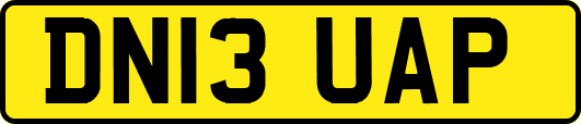 DN13UAP