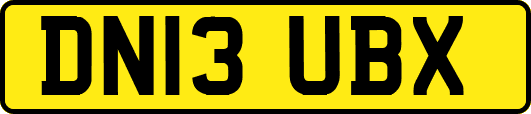 DN13UBX