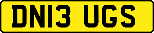 DN13UGS