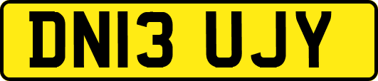 DN13UJY