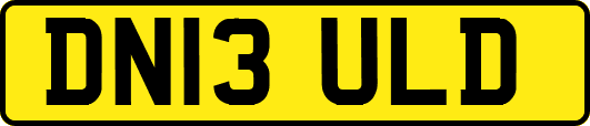 DN13ULD