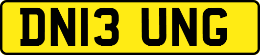 DN13UNG