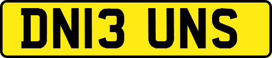 DN13UNS