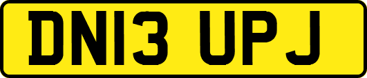 DN13UPJ