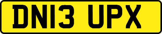 DN13UPX