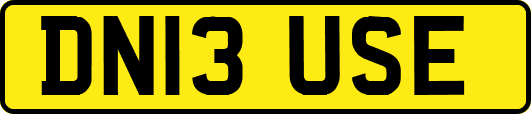 DN13USE