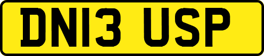 DN13USP