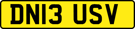 DN13USV