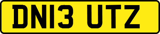 DN13UTZ