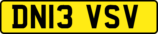 DN13VSV