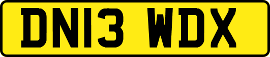 DN13WDX
