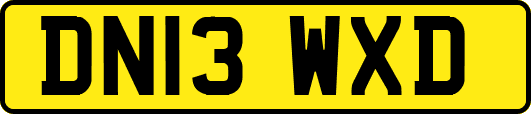 DN13WXD