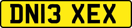 DN13XEX