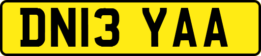 DN13YAA