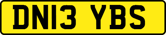 DN13YBS