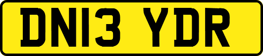 DN13YDR