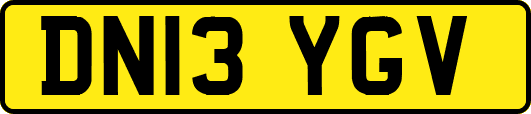 DN13YGV