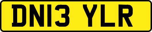 DN13YLR