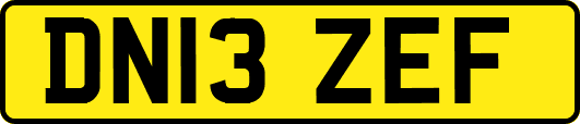 DN13ZEF
