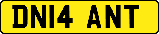 DN14ANT