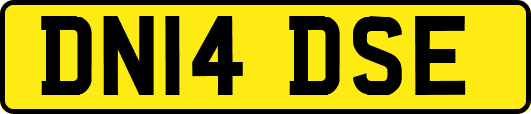 DN14DSE