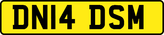 DN14DSM