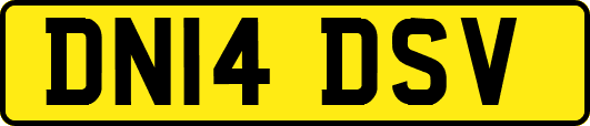 DN14DSV