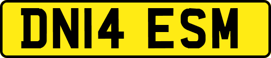 DN14ESM