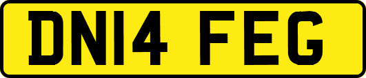 DN14FEG