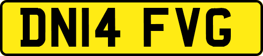 DN14FVG