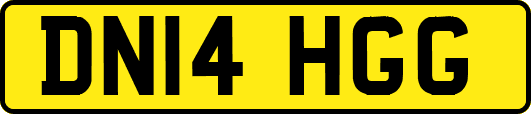 DN14HGG