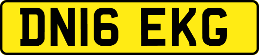 DN16EKG