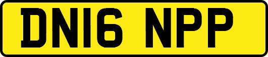 DN16NPP