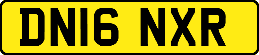 DN16NXR