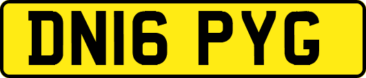 DN16PYG