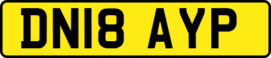 DN18AYP