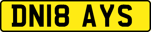 DN18AYS