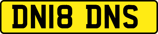 DN18DNS