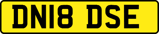 DN18DSE