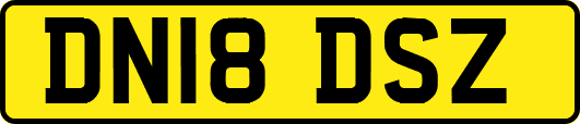 DN18DSZ