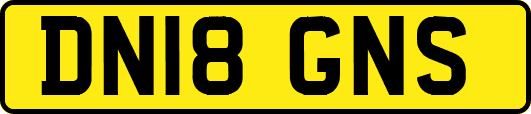 DN18GNS