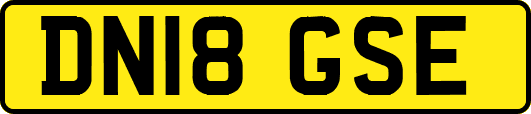 DN18GSE