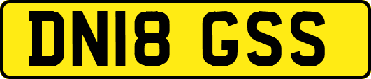 DN18GSS